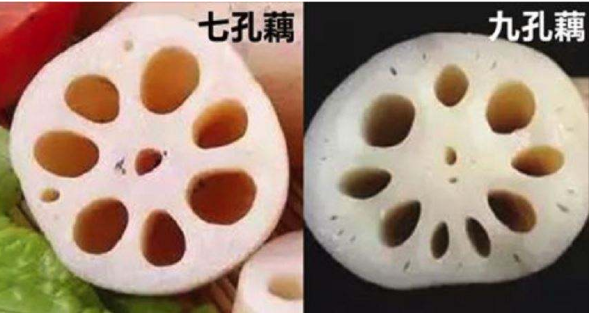 藕七孔和九孔的区别