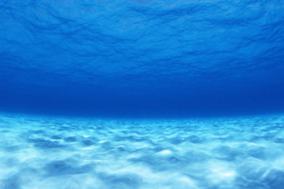 海洋中等深线最密集的地方是