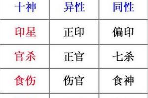 怎么查询自己是什么命