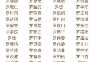 姓王三个字的名字男孩