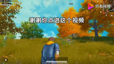 澳门三五年规划相关图片