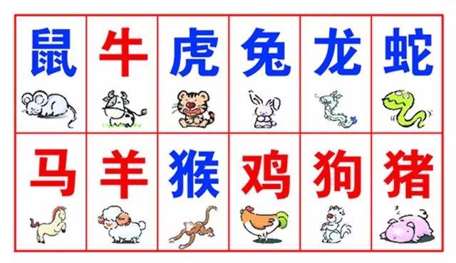 兔相克的生肖