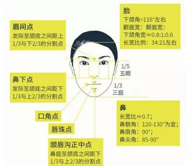 脸长脸宽