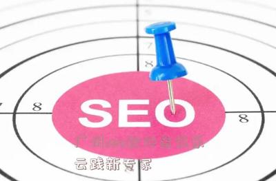 广州seo软件皆往乐云践新专家 - 蒙智黑帽seo