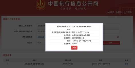 上海网上立案