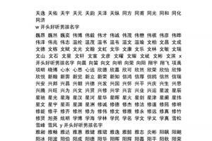 天字取名大全男孩名字