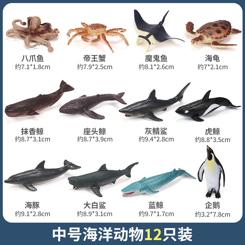 动物名称大全