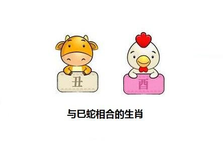 属牛属虎的婚姻怎么样