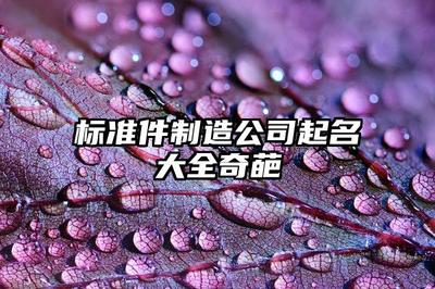 标准件公司起名