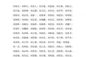 刘姓男宝宝起名