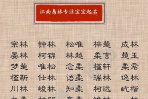 宝宝取名木字旁的