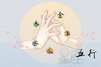 宗五行属什么