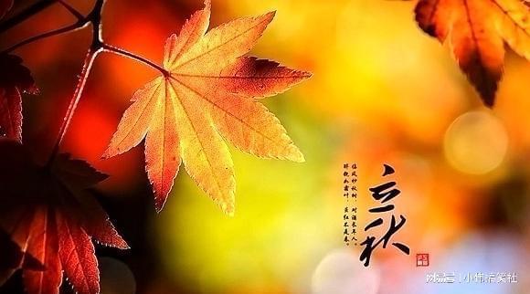 今年立秋是几月几号