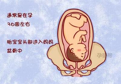 怎么让胎儿入盆