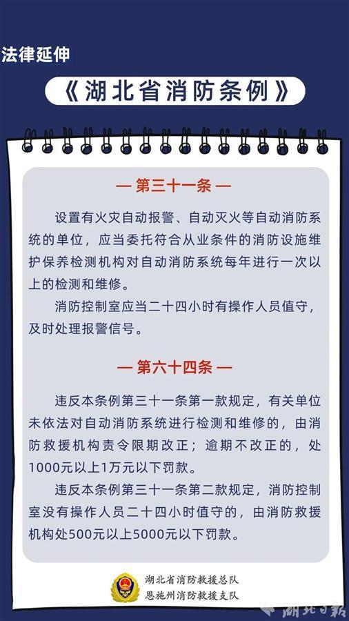 湖北省消防条例