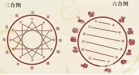蛇三合生肖是什么