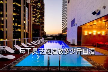 枣子泡酒的制作方法