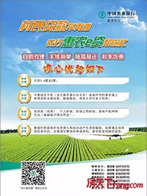 惠农贷款需要什么条件
