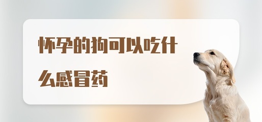 怀孕能吃什么感冒药