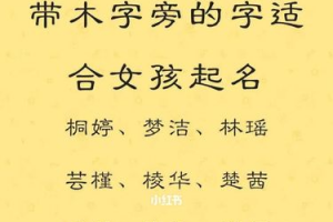 宝宝取名木字旁的