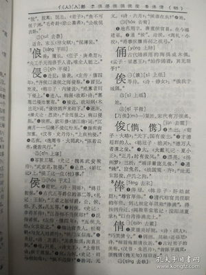 姓名学解释大全在线