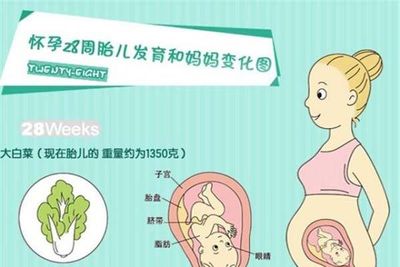 刚怀孕应注意哪些