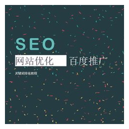 seo推广报价、番禺seo推广、东联网络科技(查看)