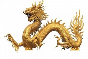 属龙女人的命运