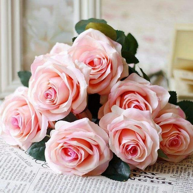 玫瑰花是什么生肖