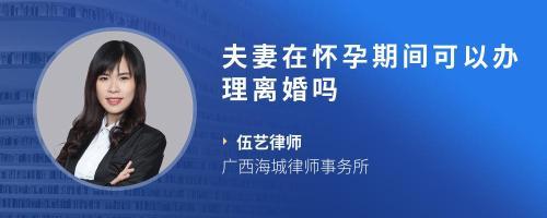 怀孕期间可以办理离婚吗