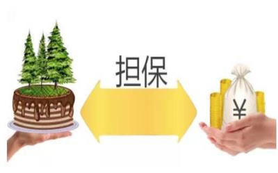 执行担保人的担保期限