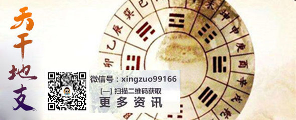 八字看天干还是地支