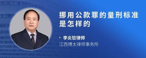 挪用公款罪最新司法解释