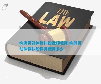法律纠纷律师