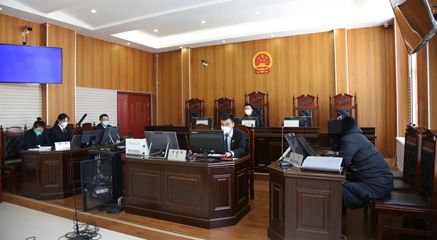 开庭审理流程