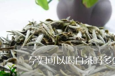 怀孕能喝白茶吗