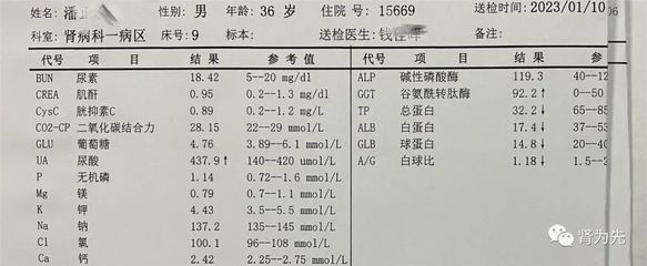 肾病尿量多少有什么关系