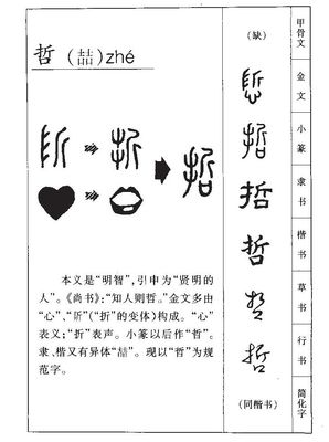 哲五行属什么