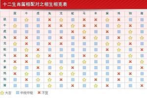 星座生肖配对查询
