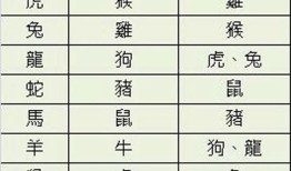 男属猪女属鼠