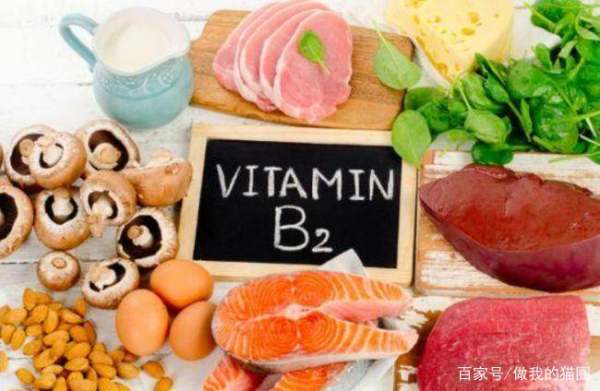 哪些食物含维生素b2较多,大剂量维生素b2的效果如何?