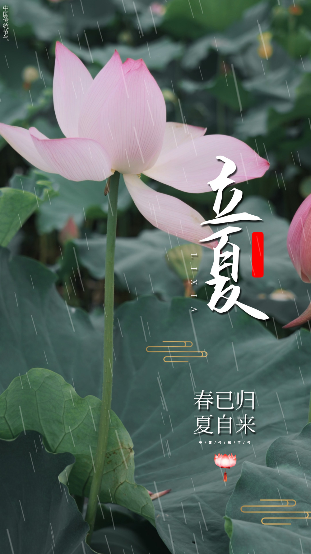 立夏创意合成视频海报