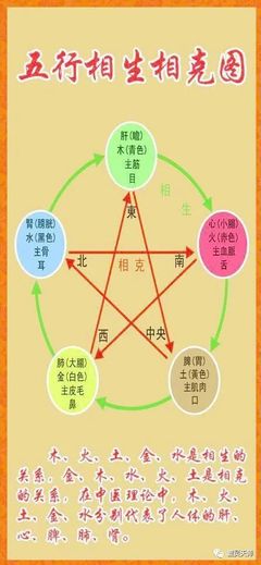 五行歌诀
