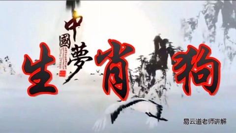 梦肖是什么生肖