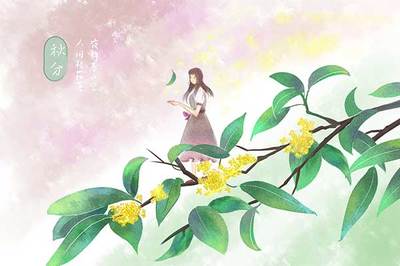 小说男主人公名字大全