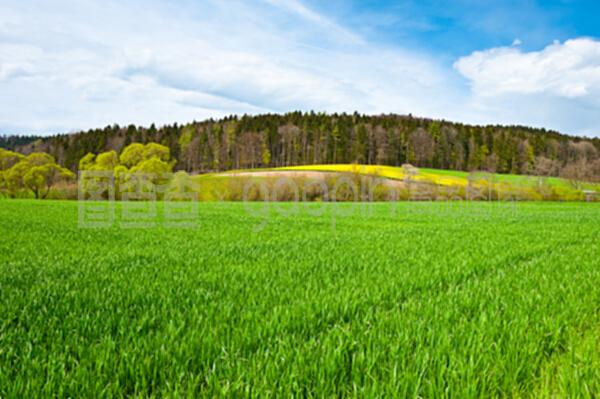 牧场_牧场素材_牧场模板_图查查