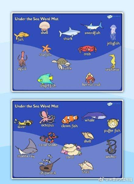 Pufferfish英语怎么说