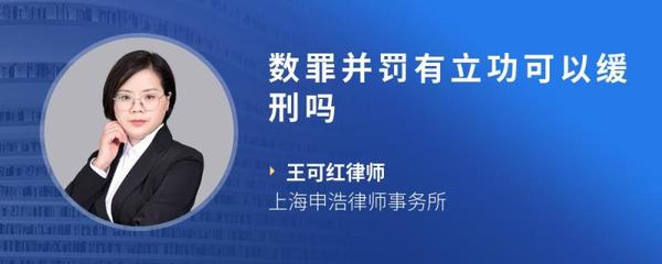 数罪并罚可以缓刑吗
