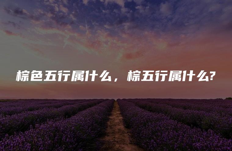 棕色五行属什么