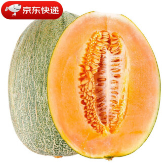 网纹瓜孕妇能吃吗